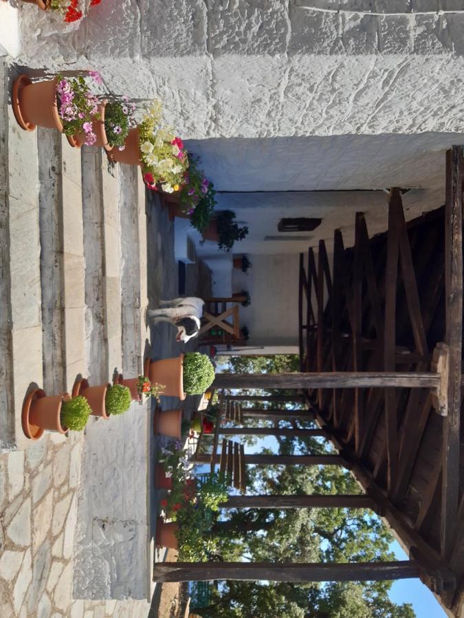 Kouros Villa! Paltsi Pilion Exterior photo